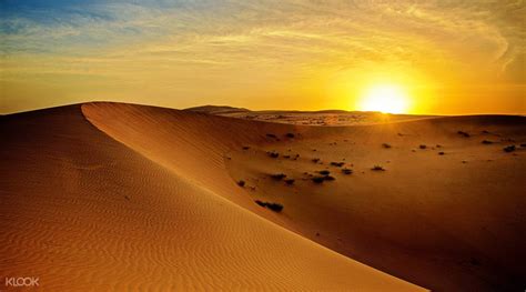 두바이 사막